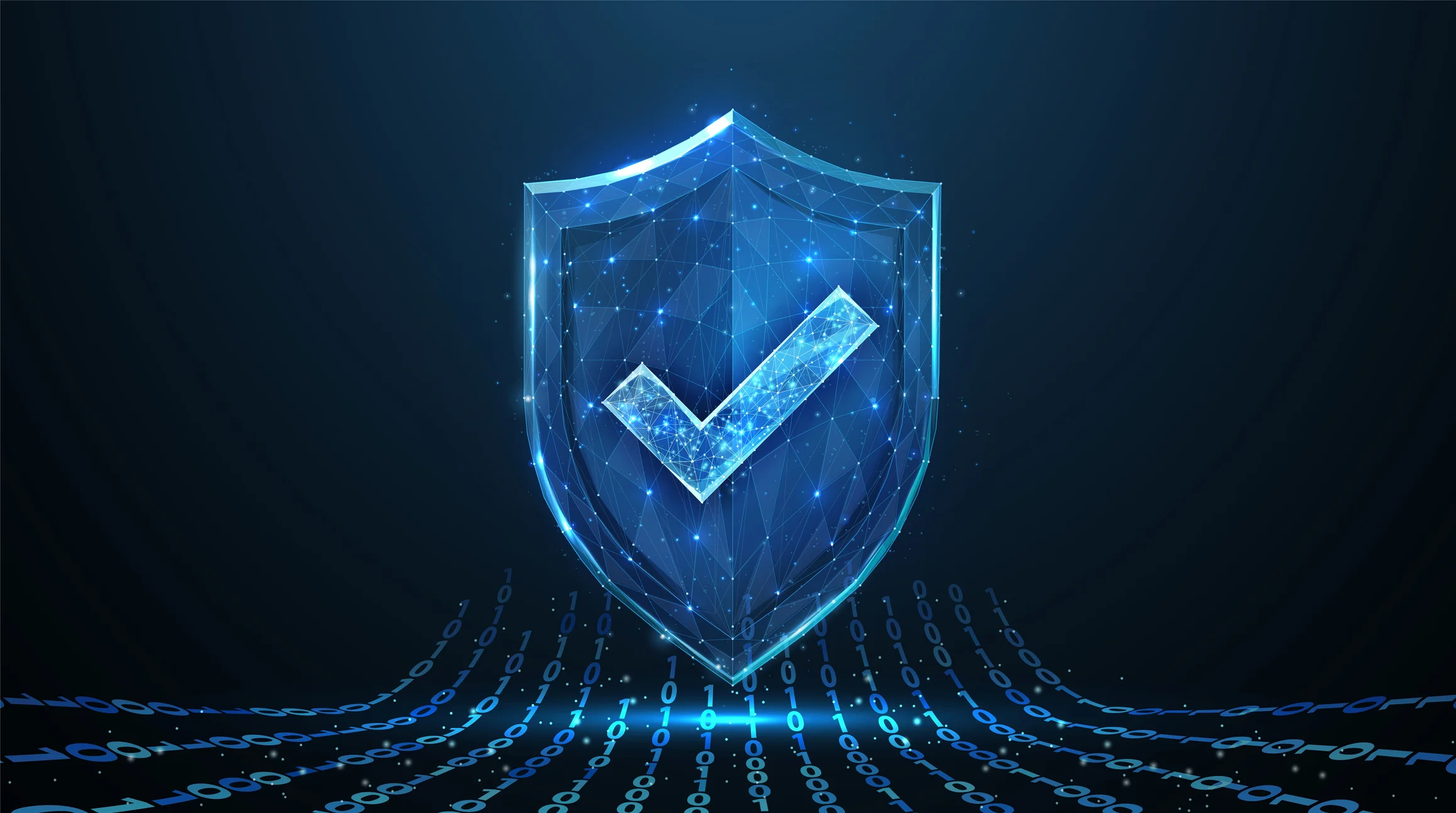 Penetration testing for ransomware. A glowing blue shield with a large checkmark in the center represents security, protection, and data integrity. The shield is made of digital wireframe structures, reinforcing the cybersecurity theme. At the bottom, binary code (1s and 0s) flows like a digital wave, emphasizing data protection and encryption.